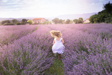 Fototapeta na wymiar Little girl running between lavender plants in sunset light