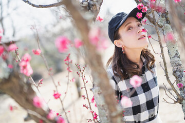 梅の花を鑑賞する女性