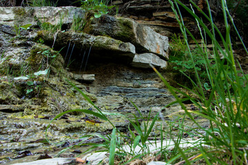 The surface of an old rock with cracks and moss. Old rock texture (wild background)
