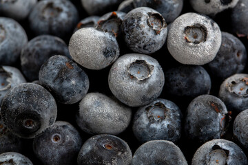 Frozen blueberry close up in studio