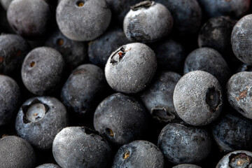 Obraz na płótnie Canvas Frozen blueberry close up in studio