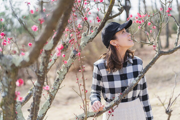 梅の花を鑑賞する女性