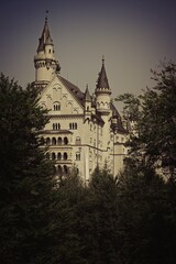 Castle in the forest