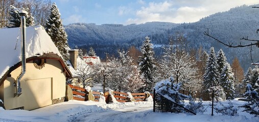 Fototapety na wymiar - Fototapeta24.pl