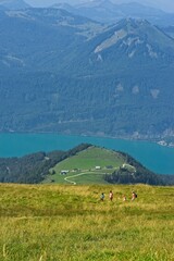 Green field in mountain