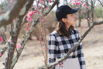 梅の花を鑑賞する女性