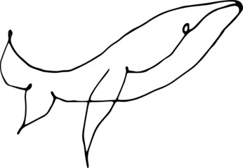 Illustration of a whale, shark, dolphin 