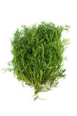 Fresh green fennel on white background