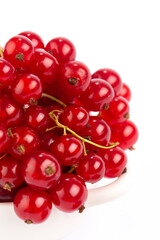 Red currant on white background 