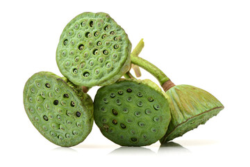 Lotus seed pot (lian zi) - The lotus seeds are used extensively in traditional Chinese medicine and desserts.