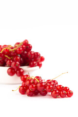 Red currant on white background 