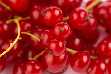 Red currant on white background 