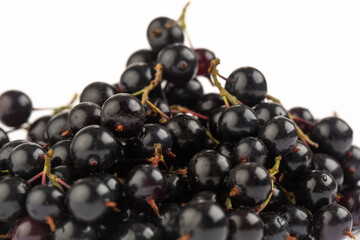 Black currant  in studio on white background
