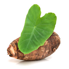 Taro on white background