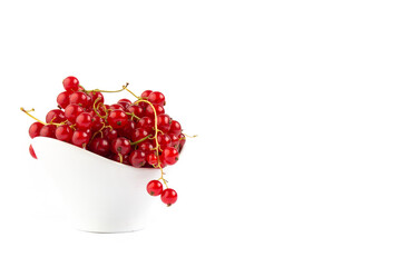 Red currant on white background 