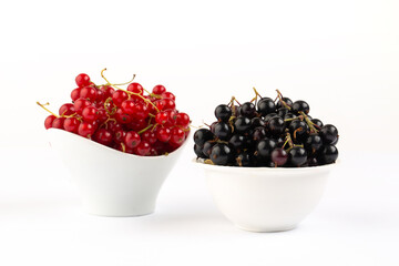 Black and red currant in studio