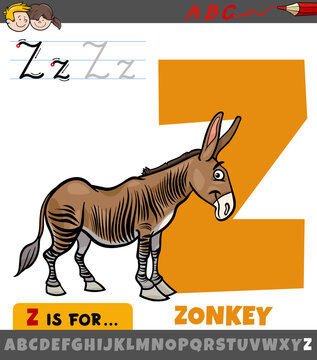 letter Z from alphabet with cartoon zonkey animal character