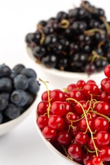 Blueberry, black and red currant in bowls