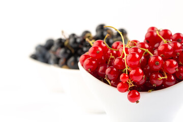 Black and red currant in studio