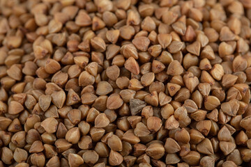 Sprinkled buckwheat seeds sprinkled on black boards