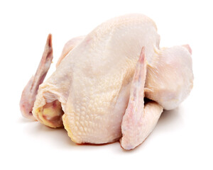 raw hen on a white background