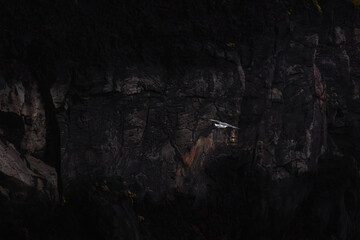 Dyrhólaey Promontory, Iceland, North Atlantic Ocean