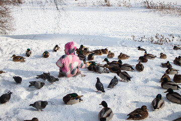 little girl 3-4 years old in pink pants, a jacket and a hat holds a loaf in his hand and feeds ducks and pigeons in a city park in winter