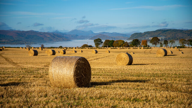 hay bales in the field with a temperature inversion in the mountains