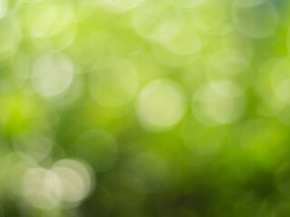 Obraz premium Natural outdoors bokeh background in gold sunlight with green and yellow tones, Blurred light and leaf background with bokeh