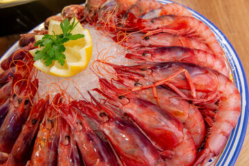 Red Gambon dish, rested on ice