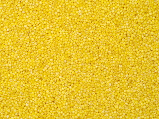 Millet yellow background