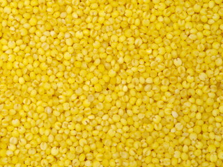 Millet yellow background