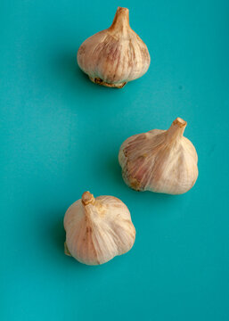garlic on a turquoise background. garlic harvest of 2020. folk remedy for colds and viruses