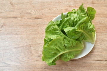 fresh green cos lettuce vegetable salad with drop of water arranging on plate