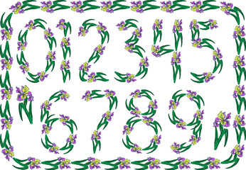 Set of floral digits and frame with iris flowers. Vector design elements, background.