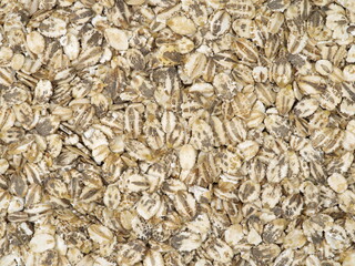 Oatmeal on white background 