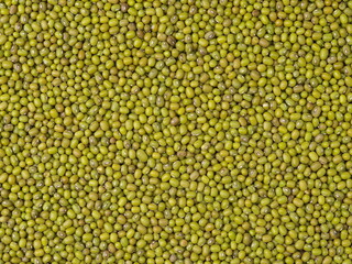 Mung beans background texture, background pattern
