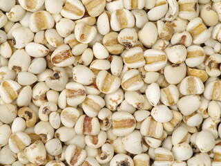 Job's tears background