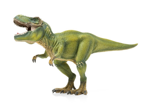 Fototapeta dinosaurs toys on white background