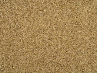 Cumin seeds texture, full frame background. Second most popular spice in the world after black pepper.