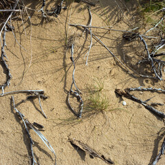 Mumbles is a headland sited on the western edge of Swansea Bay on the southern coast of Wales