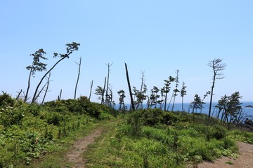 唐桑半島の風景　（宮城県気仙沼市唐桑町）