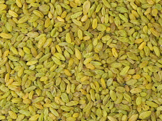 dried raisin background