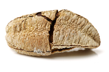  Brazil nuts on white background