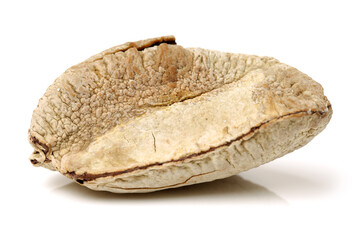  Brazil nuts on white background