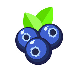 blueberry berry on isolated background with leaves in flat cartoon style.  forest berry with highlights