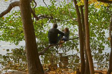 Vater mit Tochter sitzen auf Ast am Schlachtensee, Bäume mit Herbstlaub, Steglitz-Zehlendorf, Berlin, Deutschland