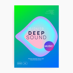 Poster for summer fest and music flyer.