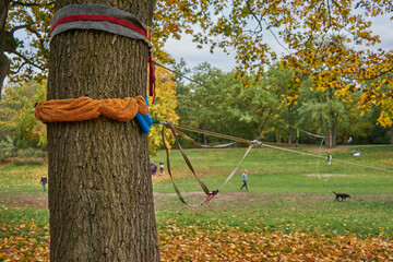 Volkspark Hasenheide, Befestigung einer Slackline an einem Baum, Mann balanciert auf Slackline, Bäume mit Herbstlaub,  Neukölln, Berlin, Deutschland