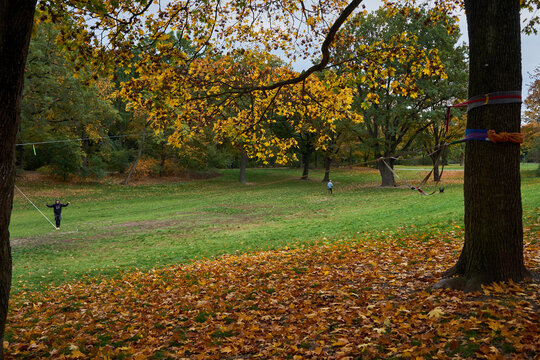 Volkspark Hasenheide, Befestigung einer Slackline an einem Baum, Mann balanciert auf Slackline, B&auml;ume mit Herbstlaub,  Neuk&ouml;lln, Berlin, Deutschland